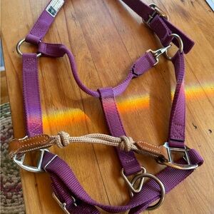 Hybrid Halter Lite Economy control Horse Halter with Leather Accents..